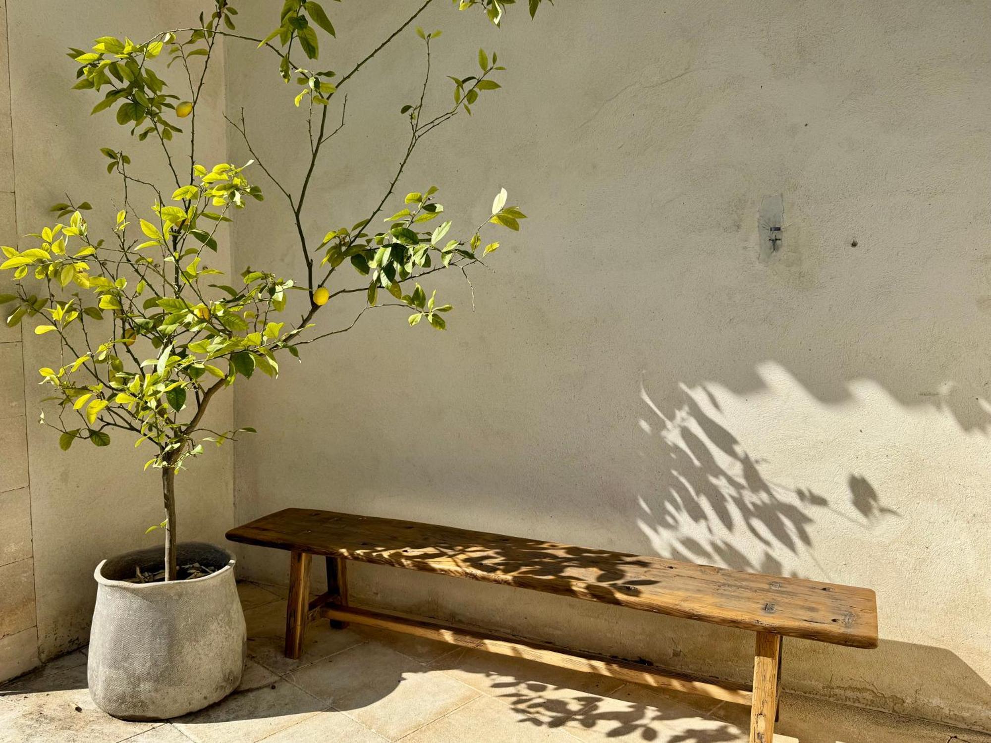 戈尔德Provence Km28住宿加早餐旅馆 外观 照片