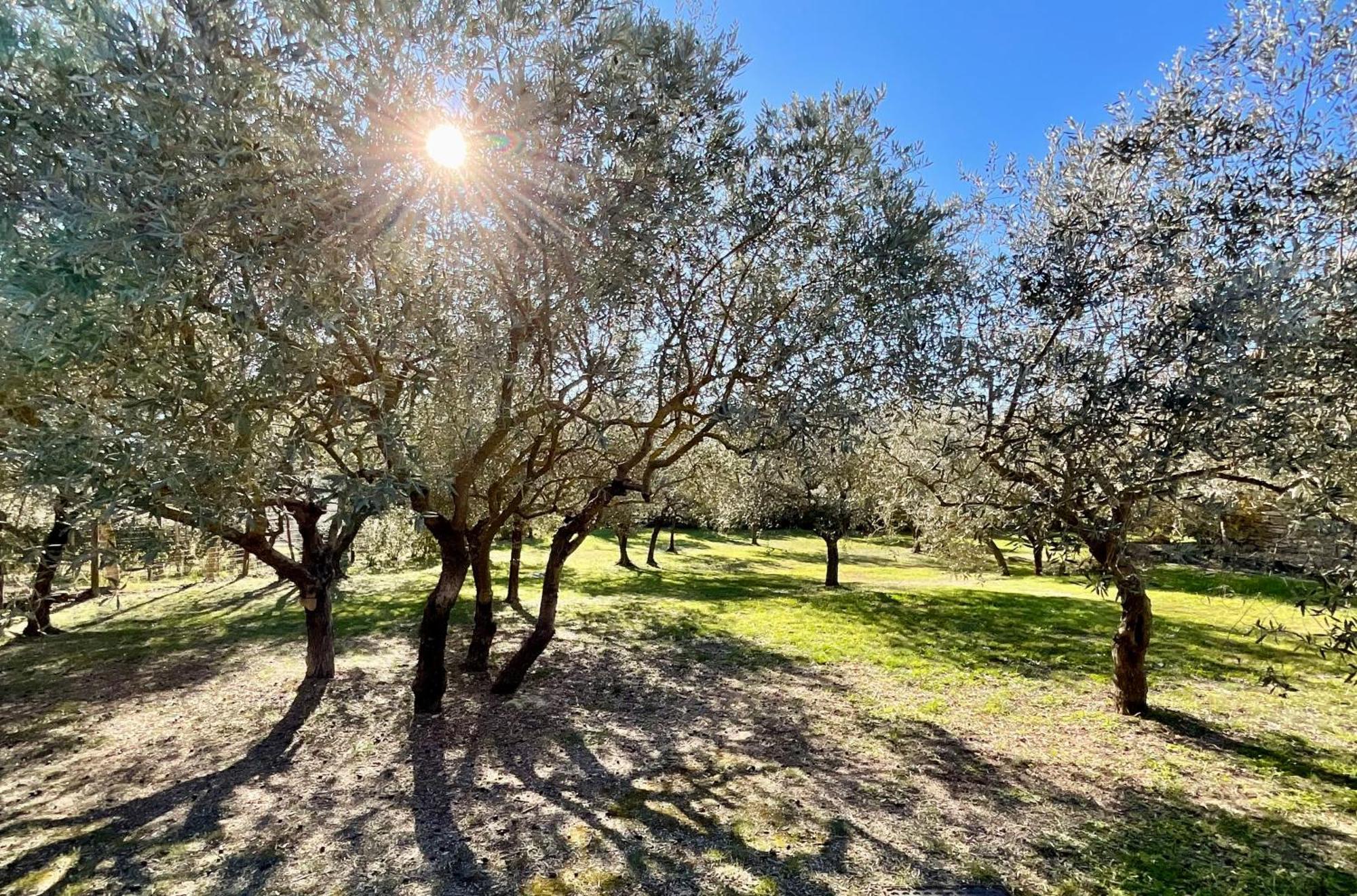 戈尔德Provence Km28住宿加早餐旅馆 外观 照片