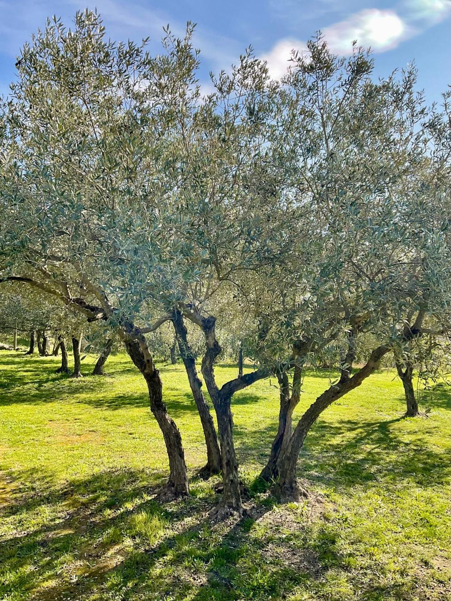 戈尔德Provence Km28住宿加早餐旅馆 外观 照片