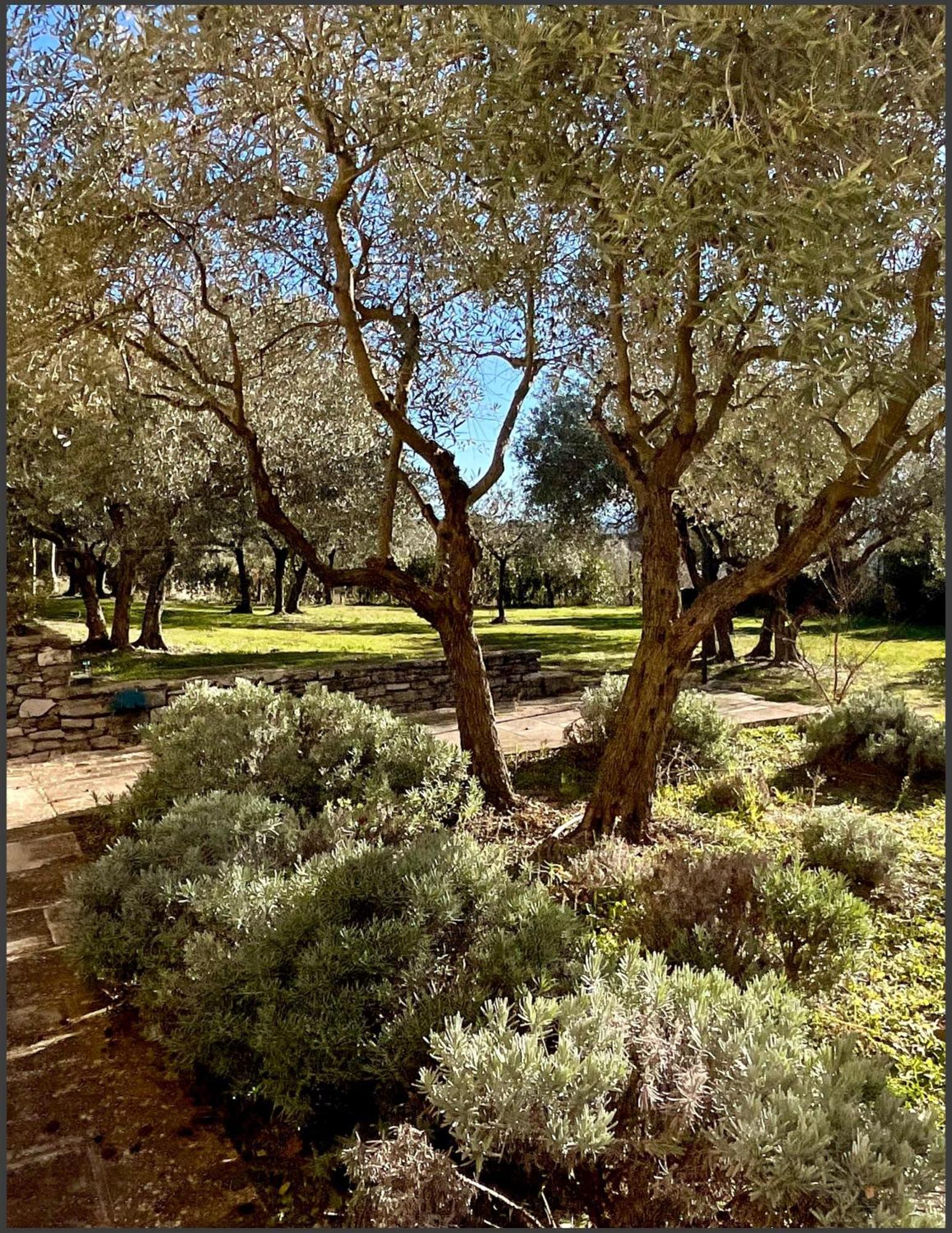 戈尔德Provence Km28住宿加早餐旅馆 外观 照片